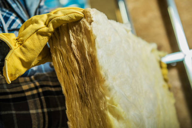 Best Insulation Maintenance and Repair in Pigeon Forge, TN