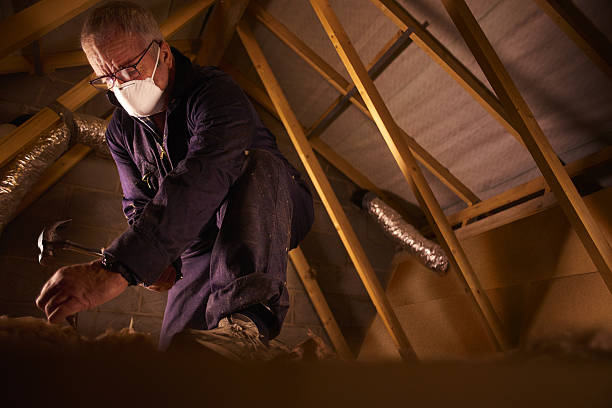 Best Residential Insulation in Pigeon Forge, TN